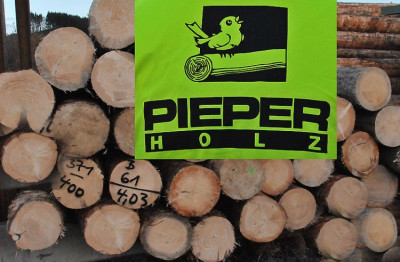 Unternehmer aus Olsberg besuchen Pieperholz in Assinghausen