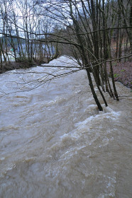 Viel Wasser in der Ruhr (14.1.) - Von Steinhelle bis zur Bigger Ruhraue