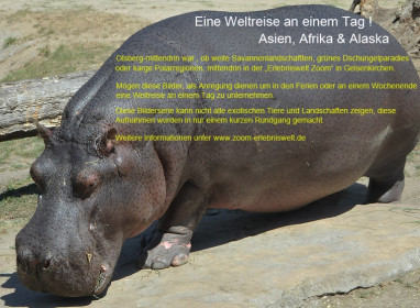 Weltreise an einem Tag