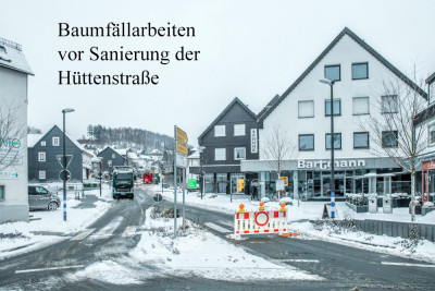 Baumfällarbeiten vor Sanierung der Hüttenstraße 