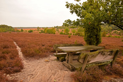 Eine kleine Zeitreise durch 200 Jahre Lüneburgerheide