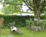  dsc5127int