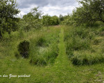  dsc5148int