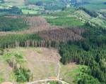 am hang des borbergs 20210621 1960256149