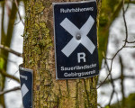 rundgang um den stausee 20210502 1206377508