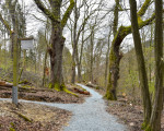 rundgang um den stausee 20210502 1531606958