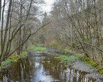 rundgang um den stausee 20210502 1569021024