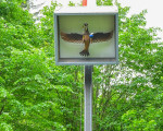 20240610 montag jst