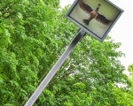 20240610 montag jst