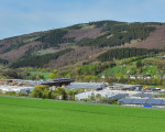 20240413 spaziergang assinghausen jst