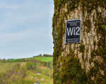 20240413 spaziergang assinghausen jst