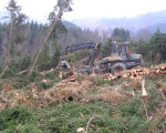 20080131 1046725259 kyrill daniel4
