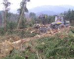 20080131 1106075416 kyrill daniel6