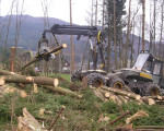 20080131 1258800384 kyrill daniel3