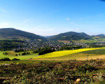 20080131 1910113669 freie sicht int