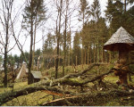 20080131 2095605945 hasley rosenkr