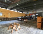 20090428 1403315967 leimbindertransport 2