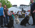 20090921 2082406590 stadtfest int 30