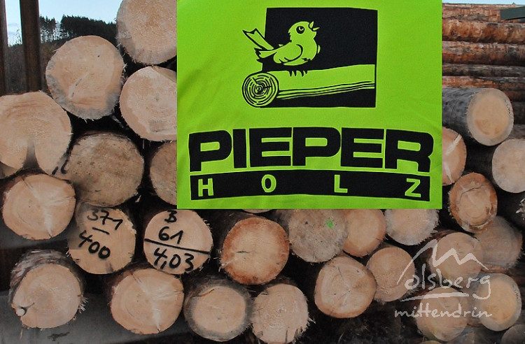 20091112 1925129468 pieperholzint 1
