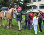 auch im regen macht reiten spass 20100830 2094562694