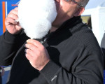 zuckerwatte zum nachtisch 20101011 1495791497