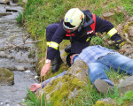 wasserleiche an der ruhr 20120429 1688621360