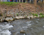 wasserleiche an der ruhr 20120429 2048251441