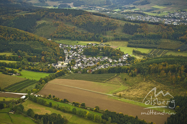 antfeld 20121015 2047191403