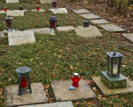 20121108 2063014640