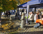 ein schoener warmer herbsttag 20121023 1941486531