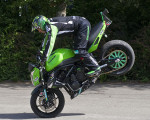 der profi 20120819 1185401923