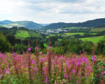 im blickfeld der bank 20120812 1848873294