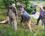 mit vereinten kraeften 20120812 1663725993