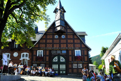 Sommerfest 2008 d. Kolpingfamilie u. d. Jugendhilfe Olsberg
