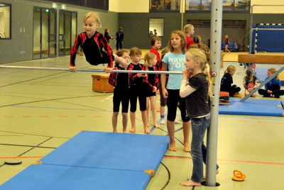 TSV Schauturnen 2008
