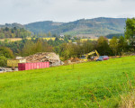 abriss der alten huehnerfarm unterm olsberg ende september 2020 20201005 1608334414