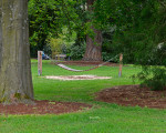 5 kneipp park dr gruene 20200513 1219266172