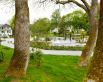 5 kneipp park dr gruene 20200513 1335199541