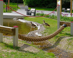 5 kneipp park dr gruene 20200513 1352010410