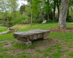 5 kneipp park dr gruene 20200513 1383384751