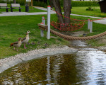 5 kneipp park dr gruene 20200513 1410607319