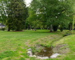 5 kneipp park dr gruene 20200513 1414265016