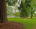 5 kneipp park dr gruene 20200513 1580761794