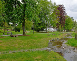 5 kneipp park dr gruene 20200513 1786762407