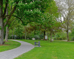5 kneipp park dr gruene 20200513 1917822053