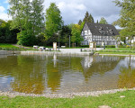 5 kneipp park dr gruene 20200513 2035569080