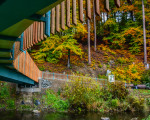 eroeffnung der neuen bruecke in den bigger ruhrauen 20201023 1810560399