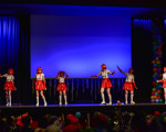 20250214 frauenkarneval 2025 jst