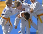 judo open airint105