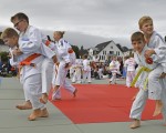 judo open airint113